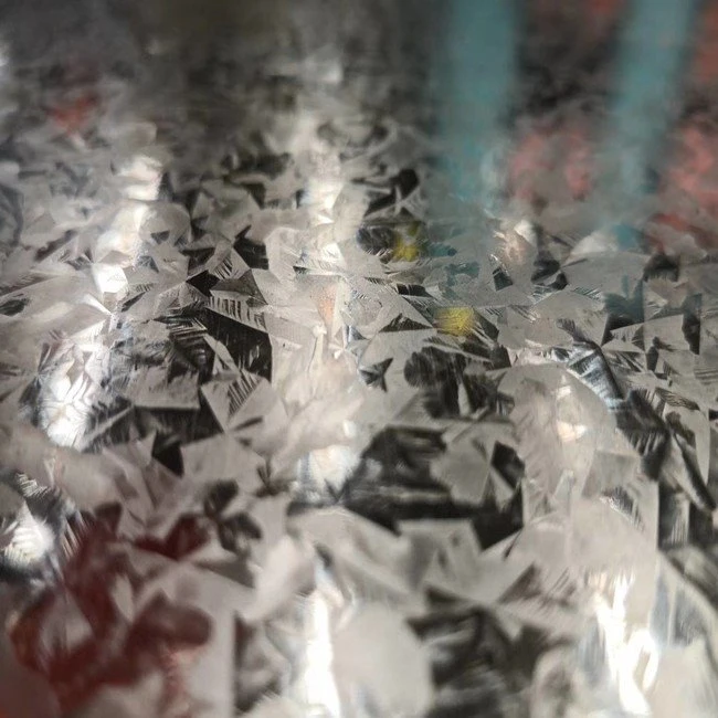 galvanized steel coil (2)